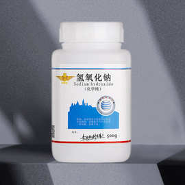 广东氢氧化钠生产厂 产业概览、技术特点与市场展望